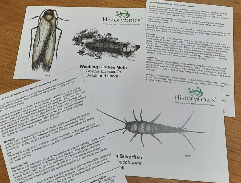 Image shows four different A5 sized cards with images and information on four different types of bugs, including webbing clothes moths and silverfish. The information covers the damage that they can cause and the management of them.