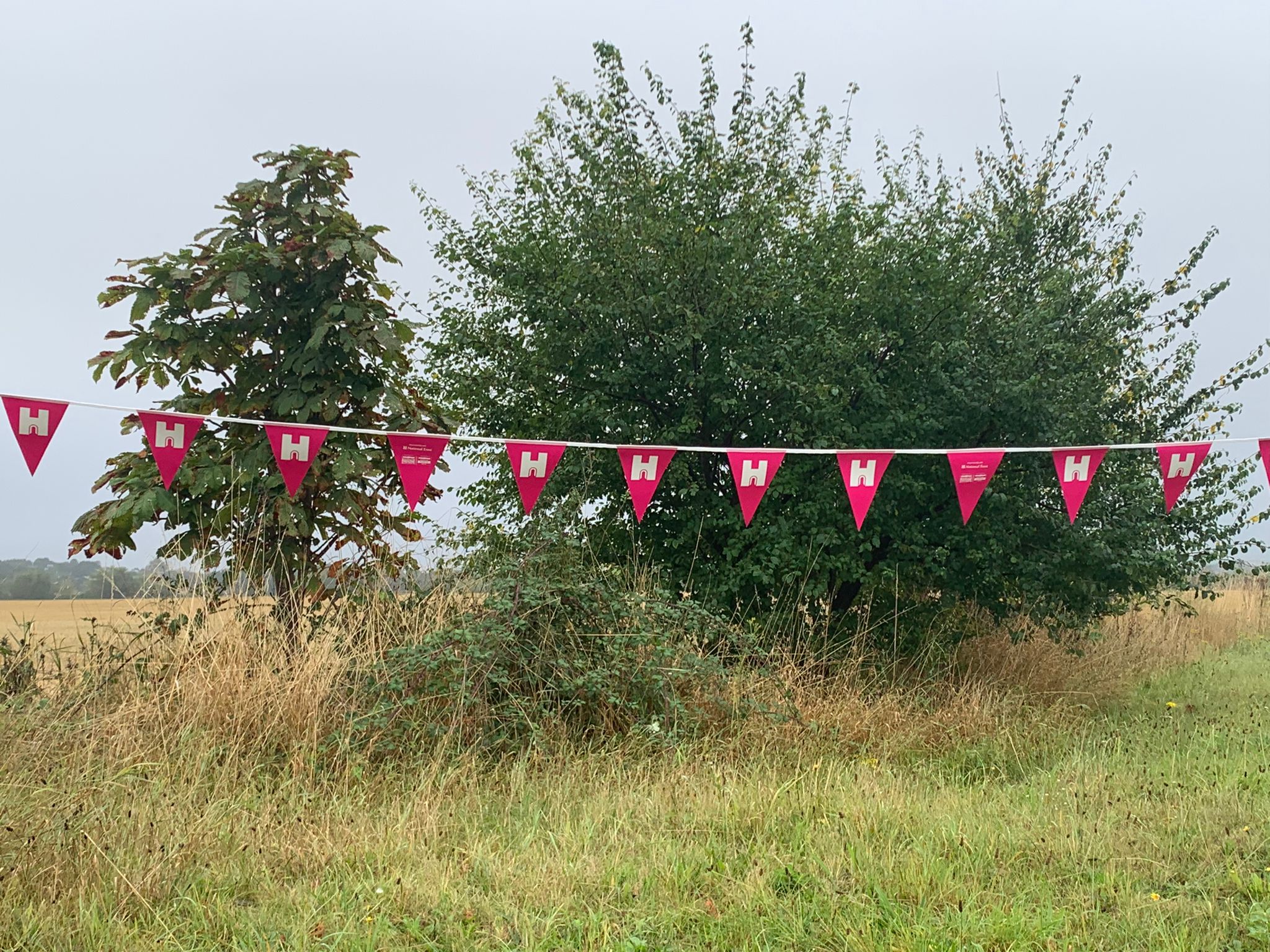 Image shows pink bunting strung up in front of a hedge and small tree with fields in the background