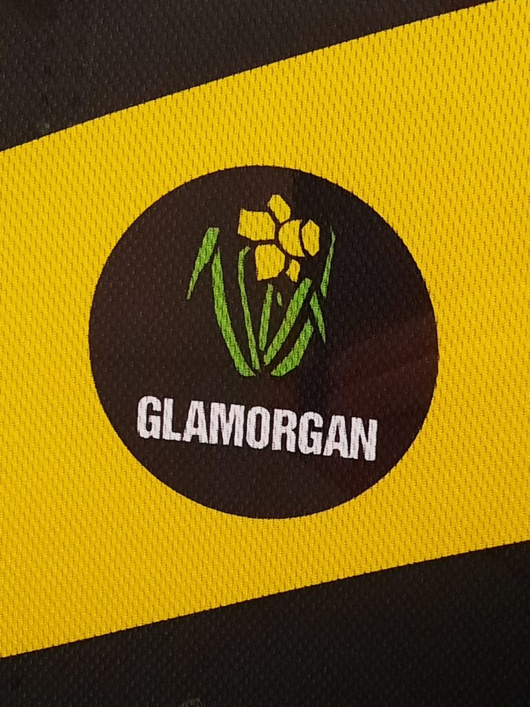 Close up of Glamorgan logo - yellow and green daffodil on black circle, with 'GLAMORGAN' in white underneath, against yellow background