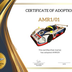Adopt a Car - The Racing One - AMR1/01
